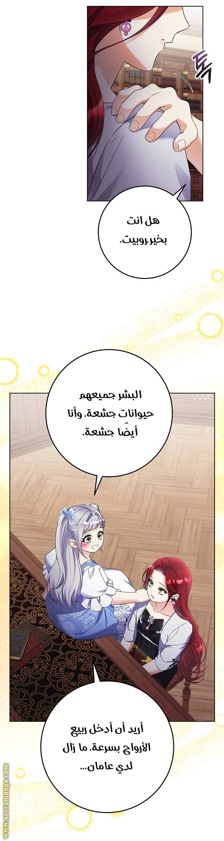 الصفحة 27