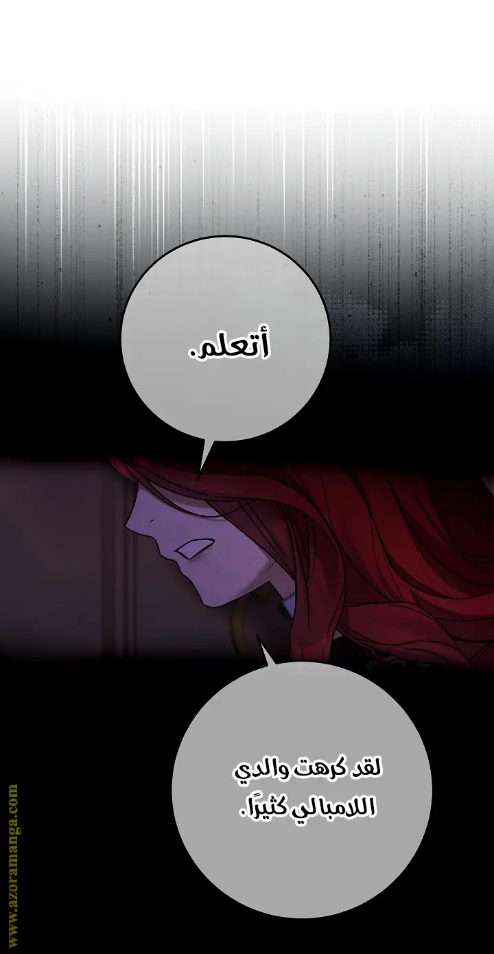 الصفحة 24