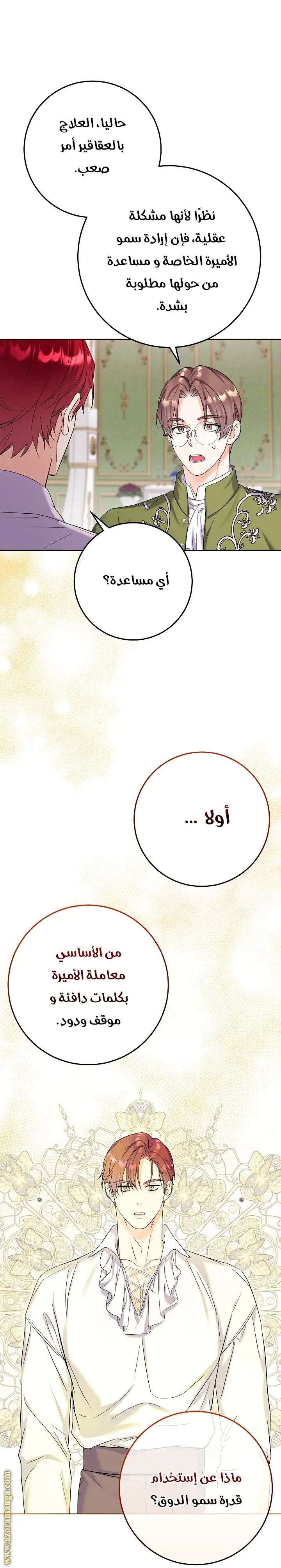 الصفحة 27