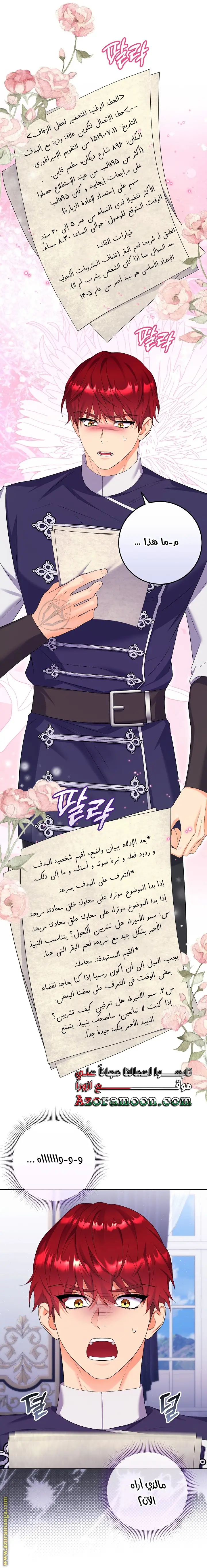 الصفحة 17