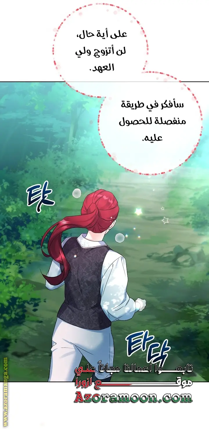 الصفحة 41