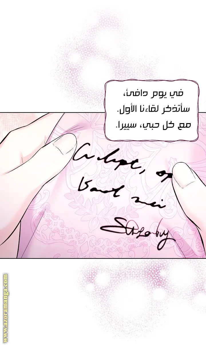 الصفحة 21