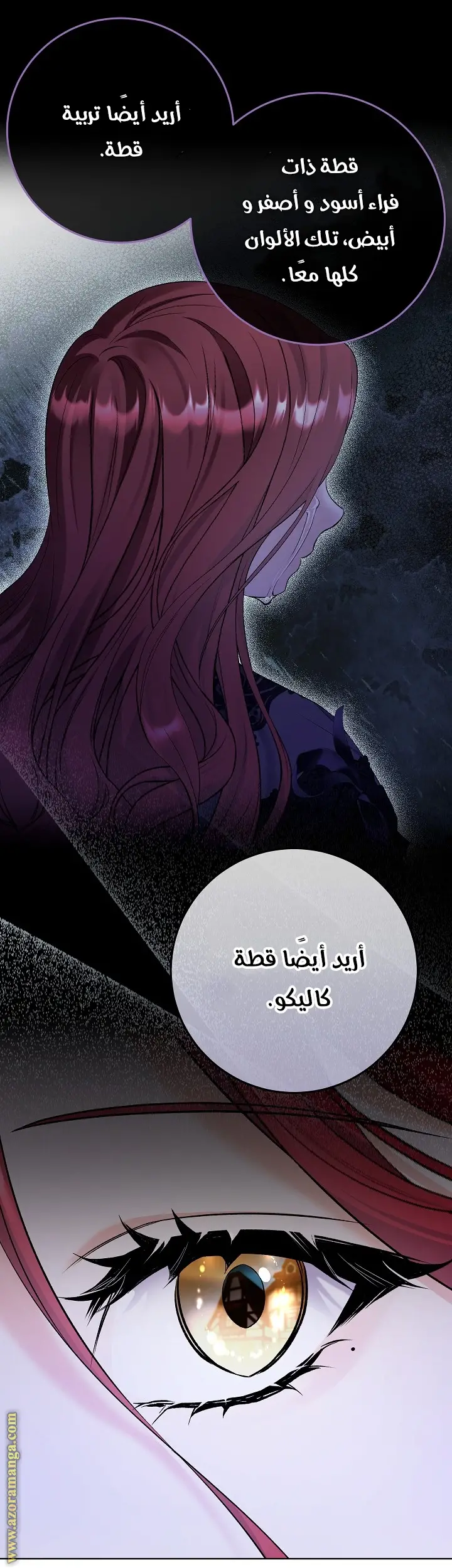 الصفحة 29