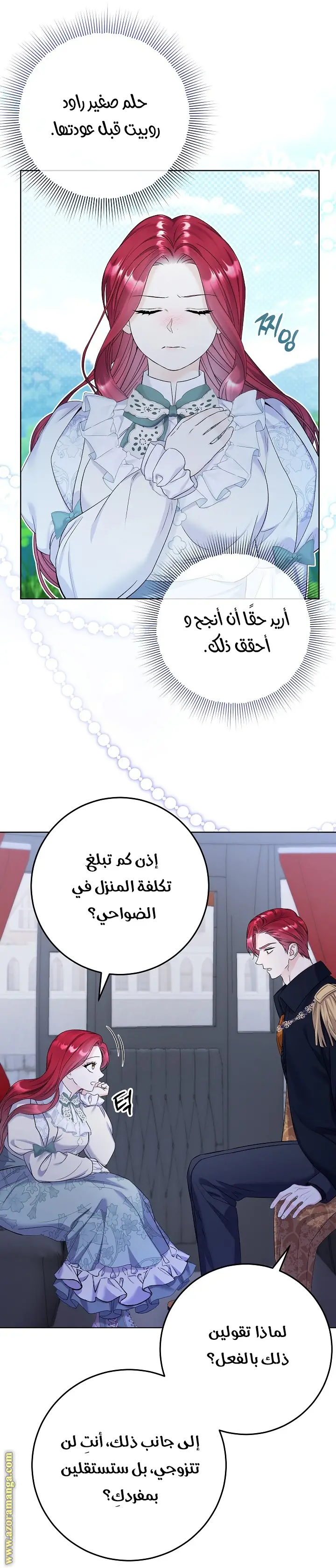 الصفحة 31