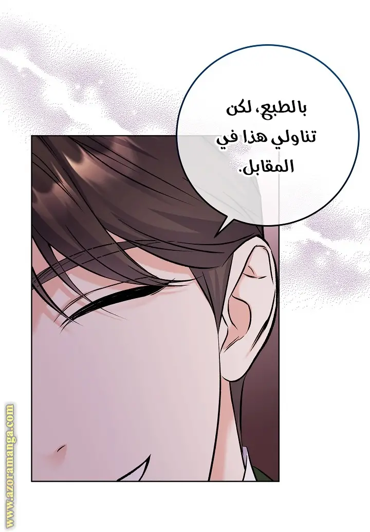 الصفحة 27