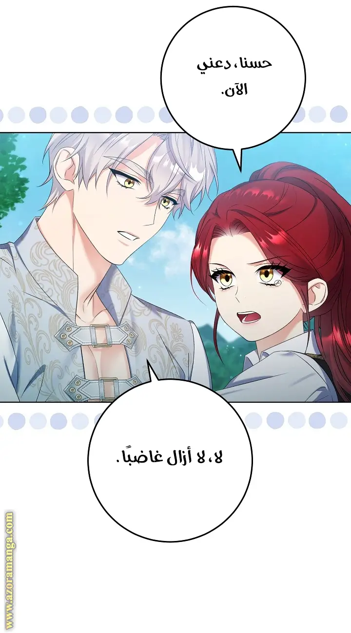 الصفحة 20