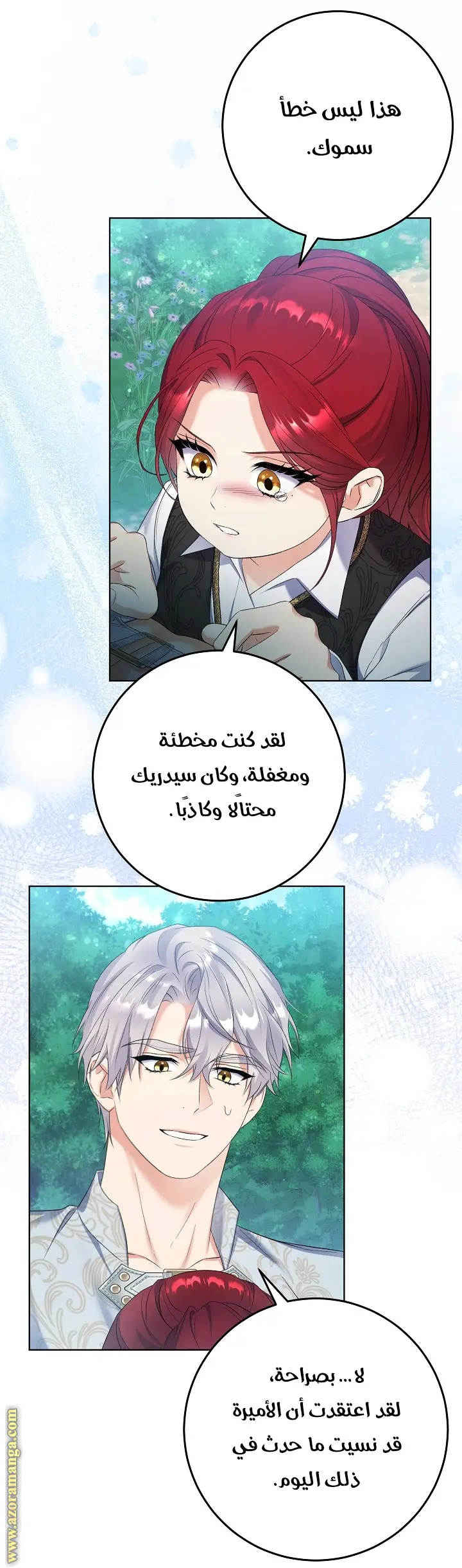 الصفحة 21