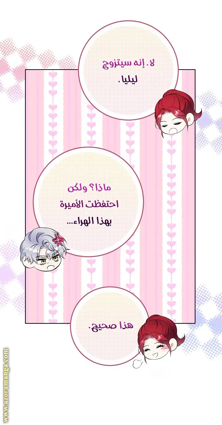 الصفحة 27