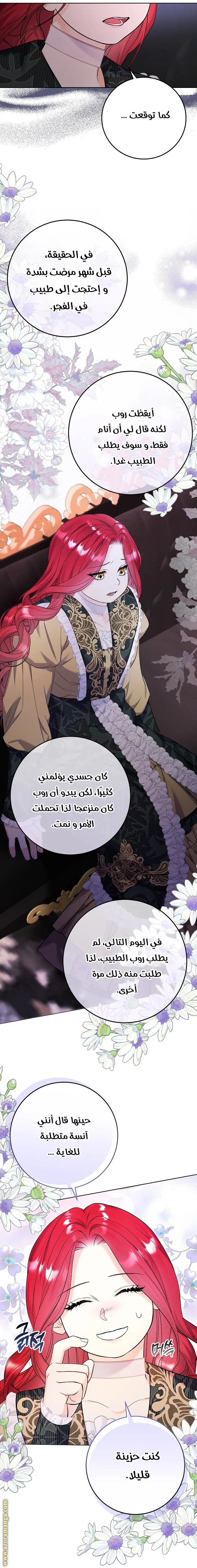 الصفحة 17