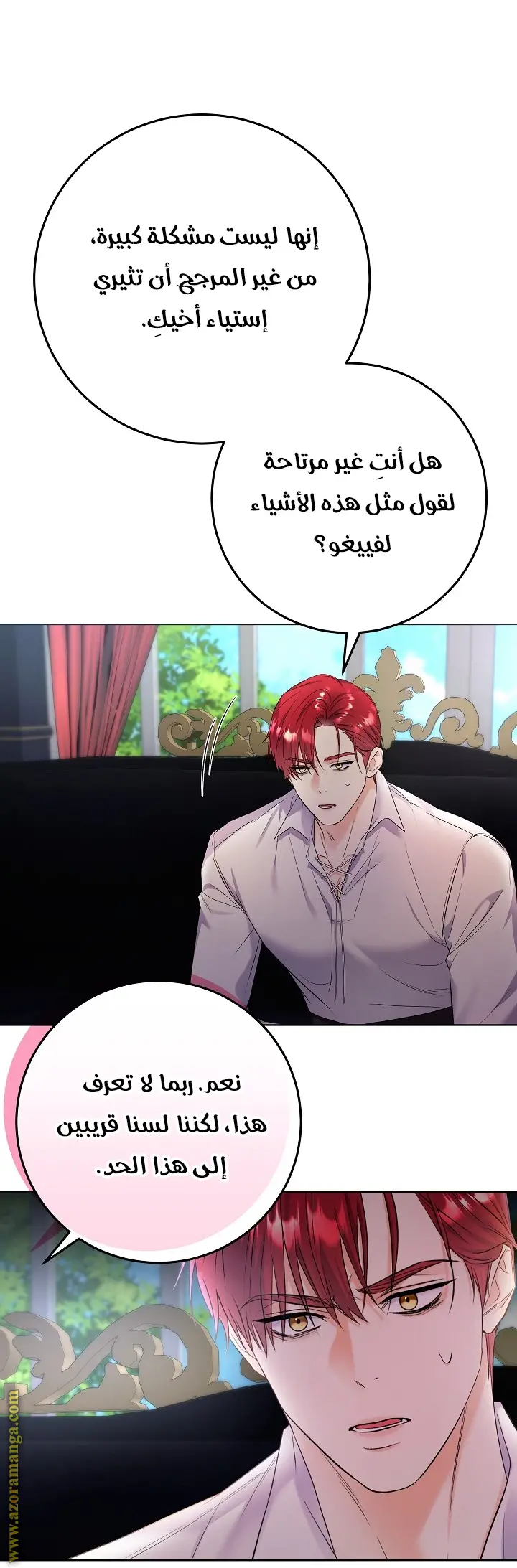 الصفحة 27