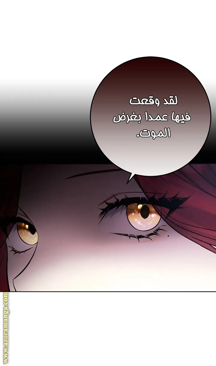 الصفحة 37