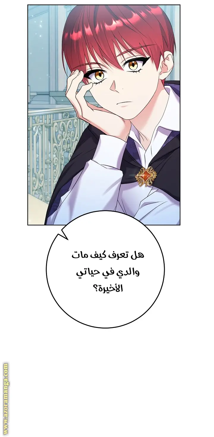 الصفحة 25
