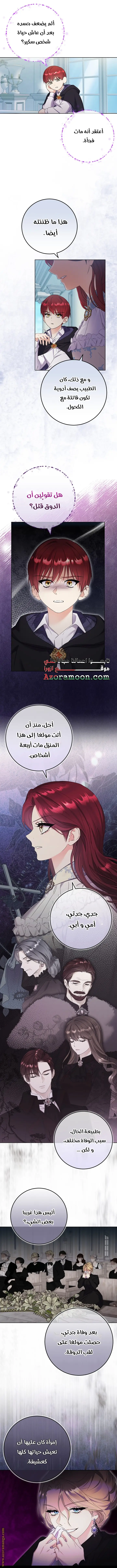 الصفحة 26