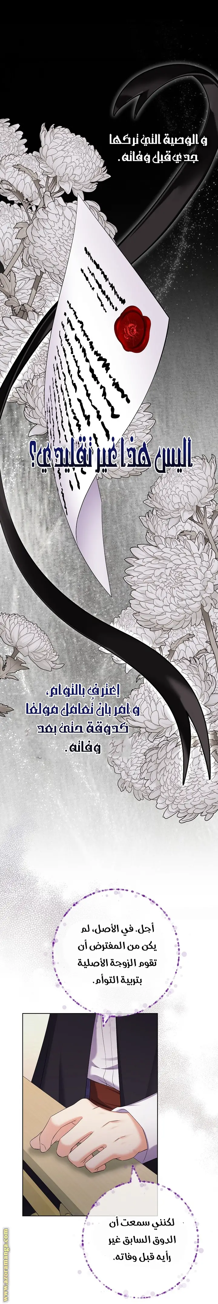 الصفحة 27