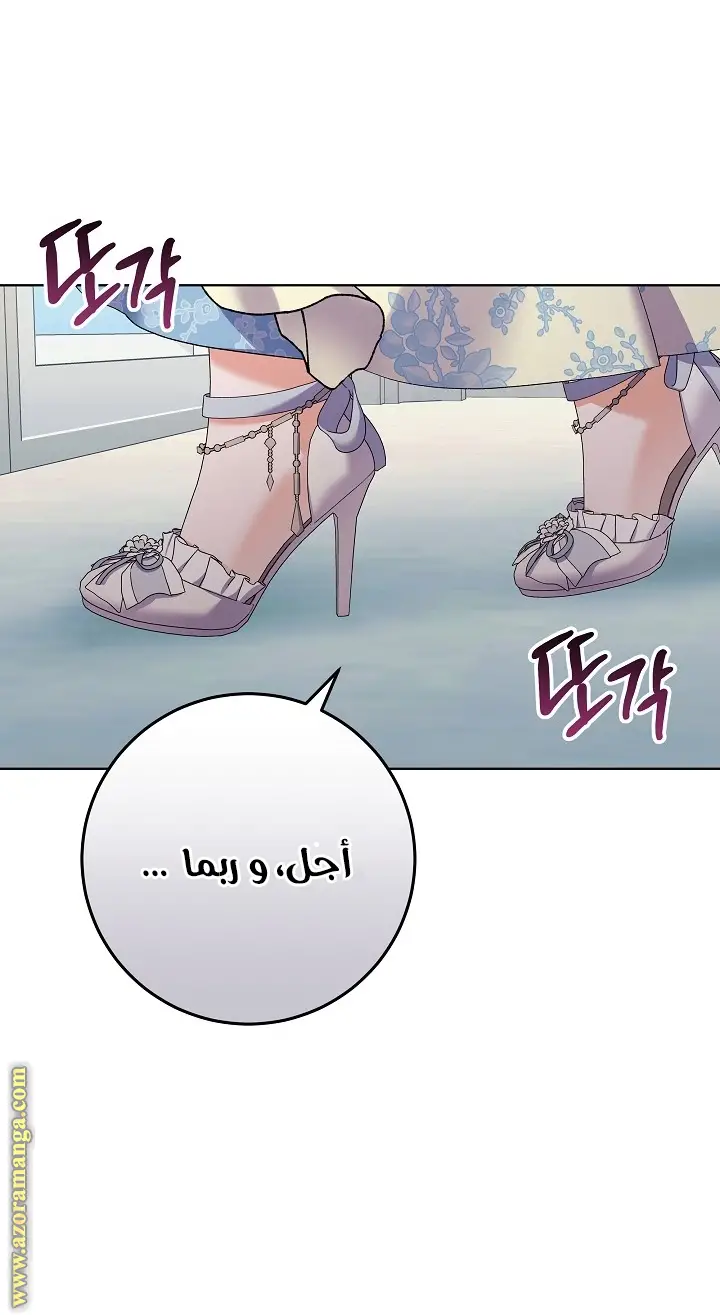الصفحة 29