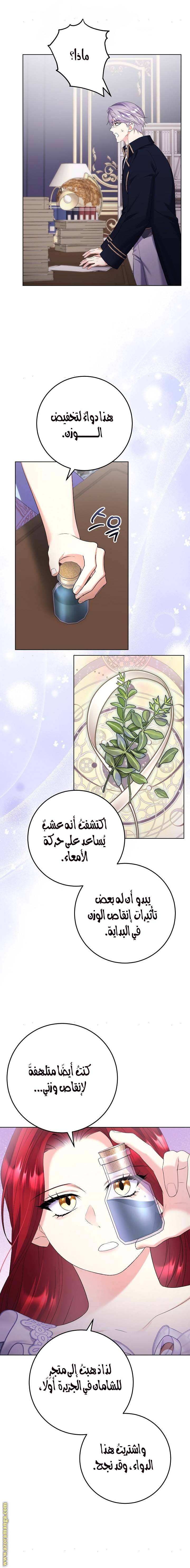 الصفحة 11