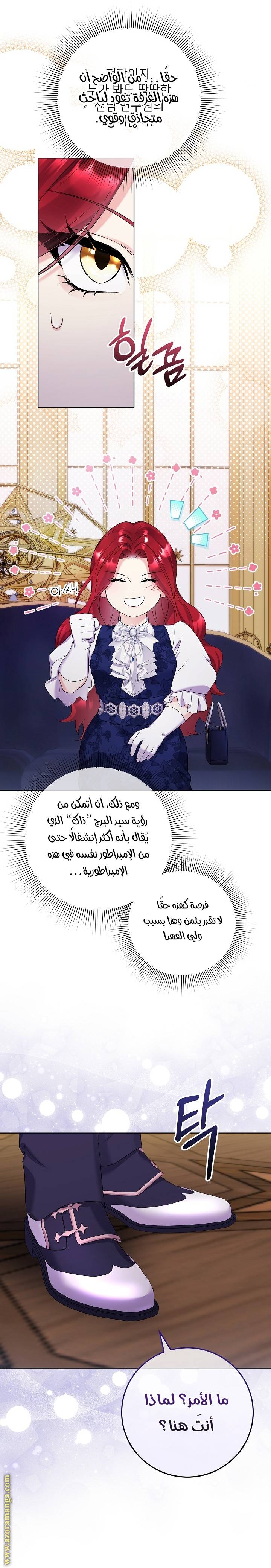 الصفحة 29