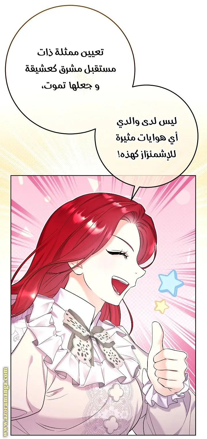 الصفحة 41