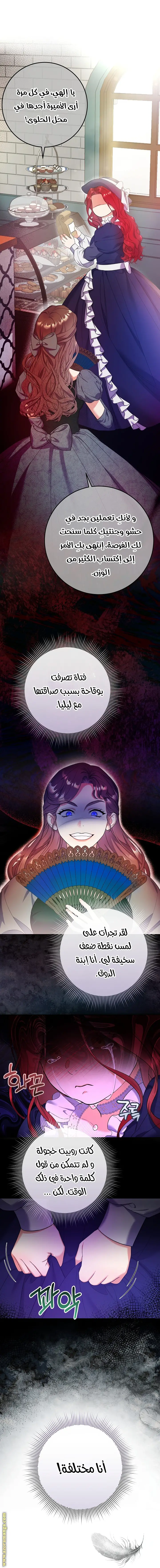 الصفحة 13