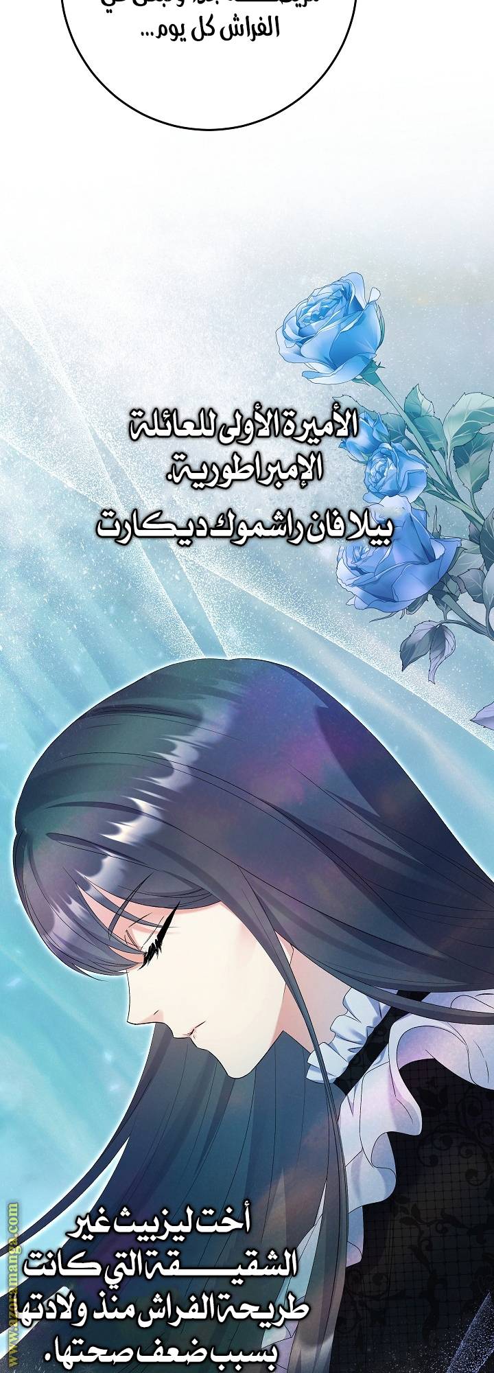 الصفحة 16