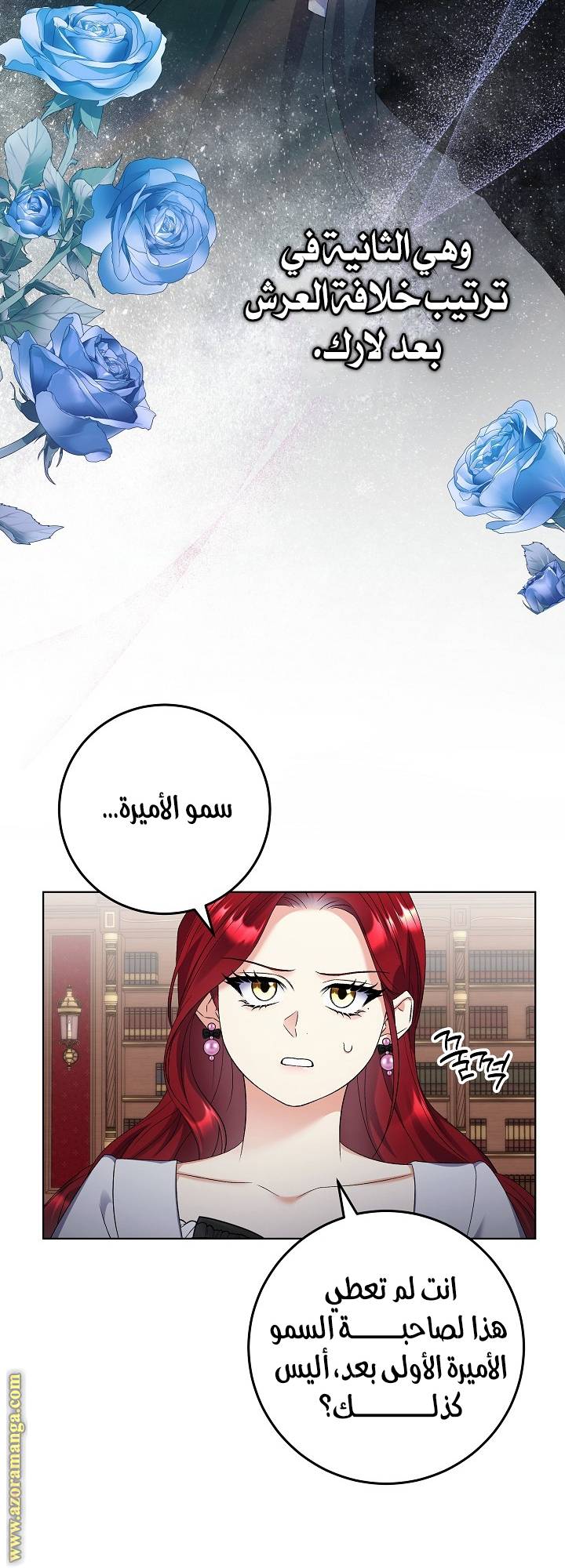 الصفحة 17