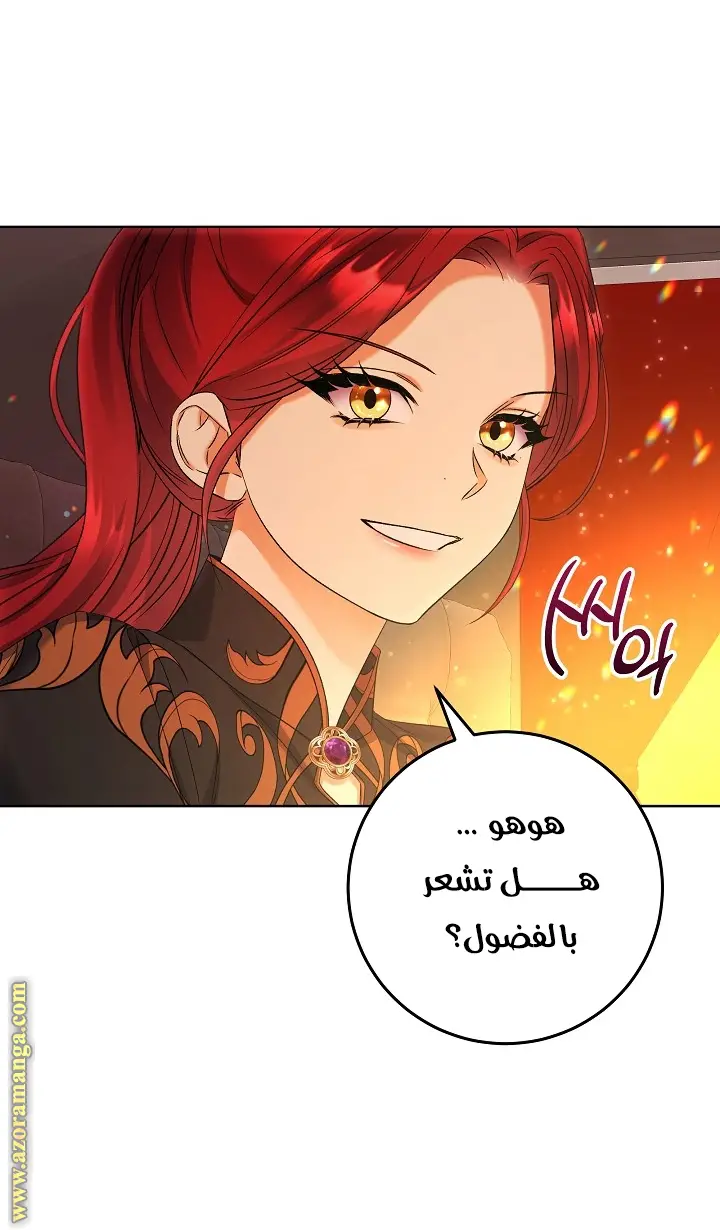 الصفحة 26