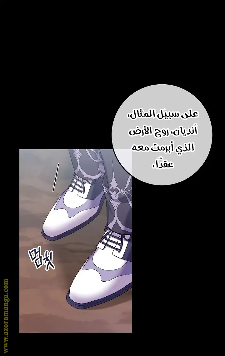 الصفحة 21