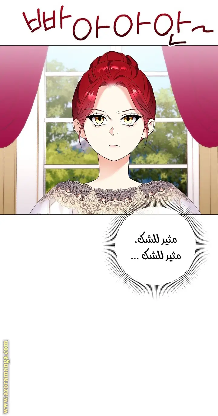 الصفحة 25