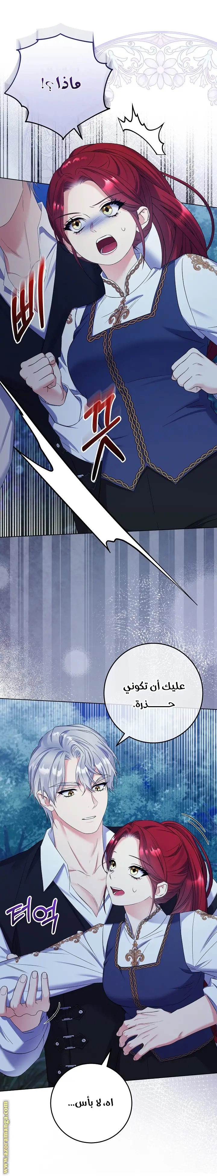 الصفحة 26