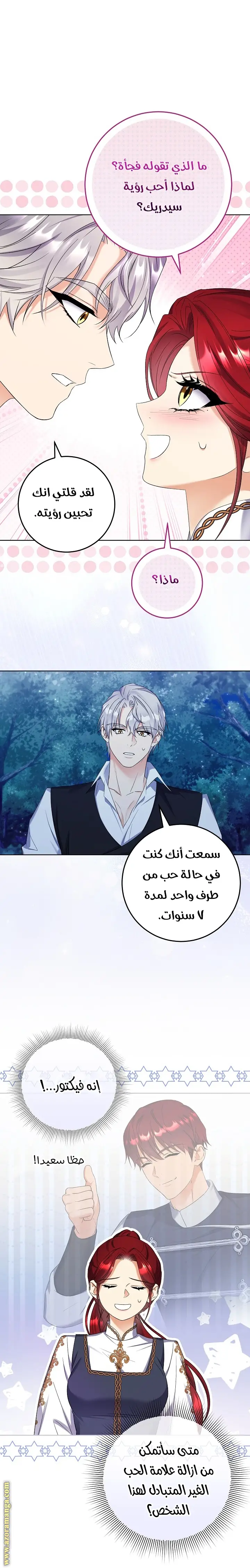الصفحة 27
