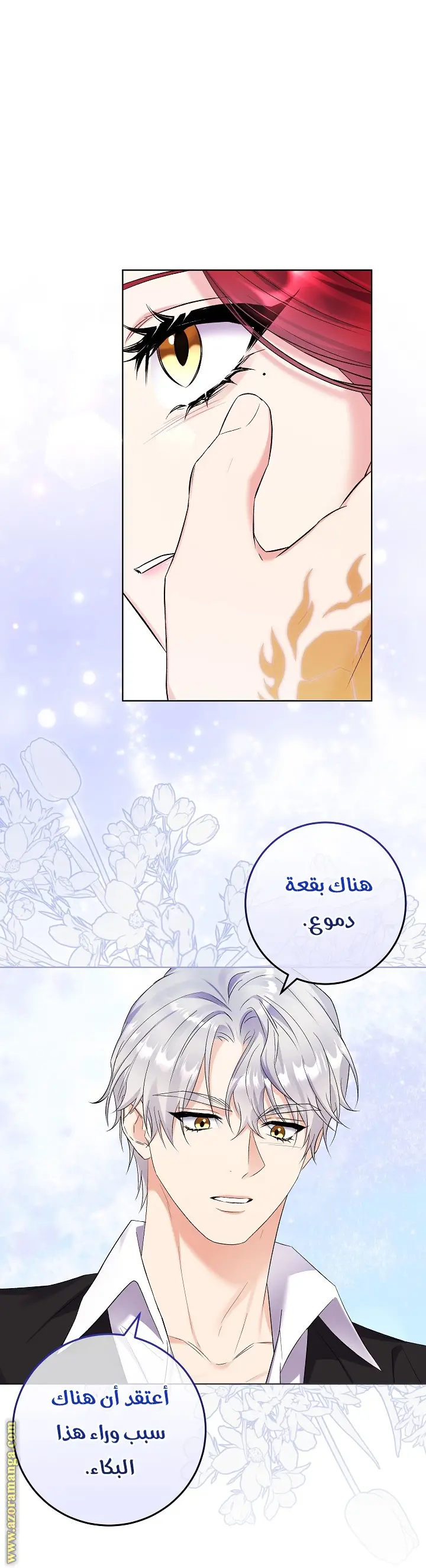 الصفحة 29
