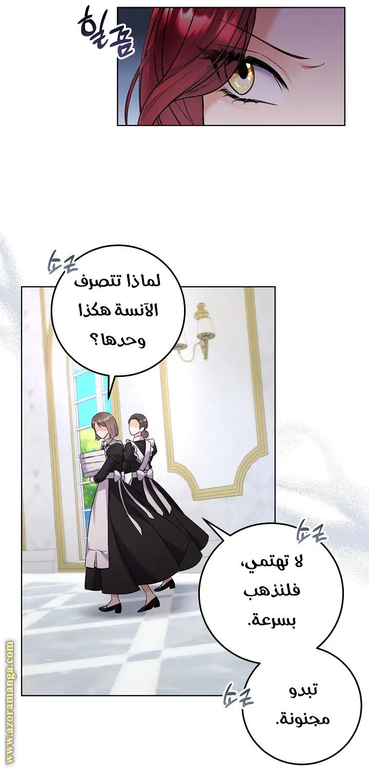 الصفحة 21