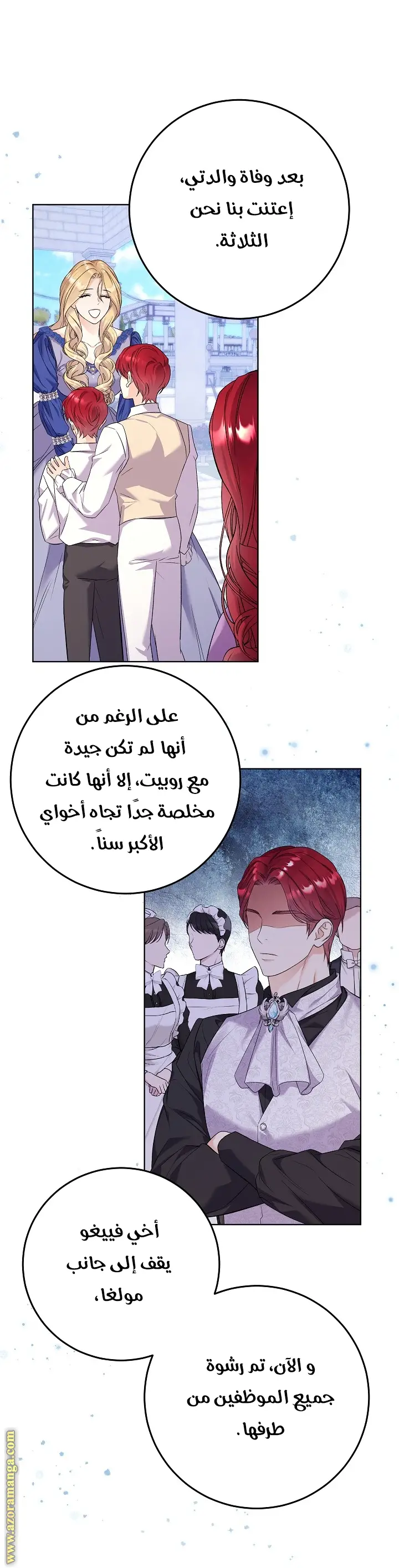 الصفحة 29
