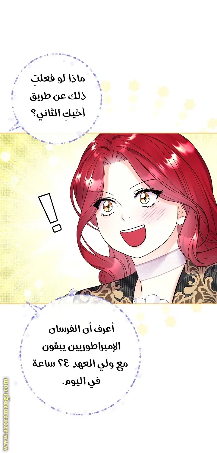 الصفحة 45
