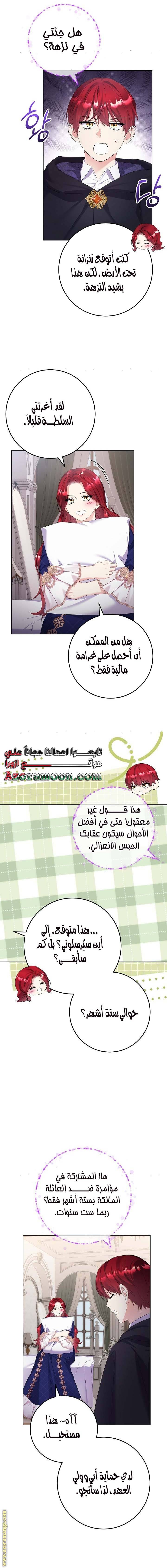 الصفحة 13