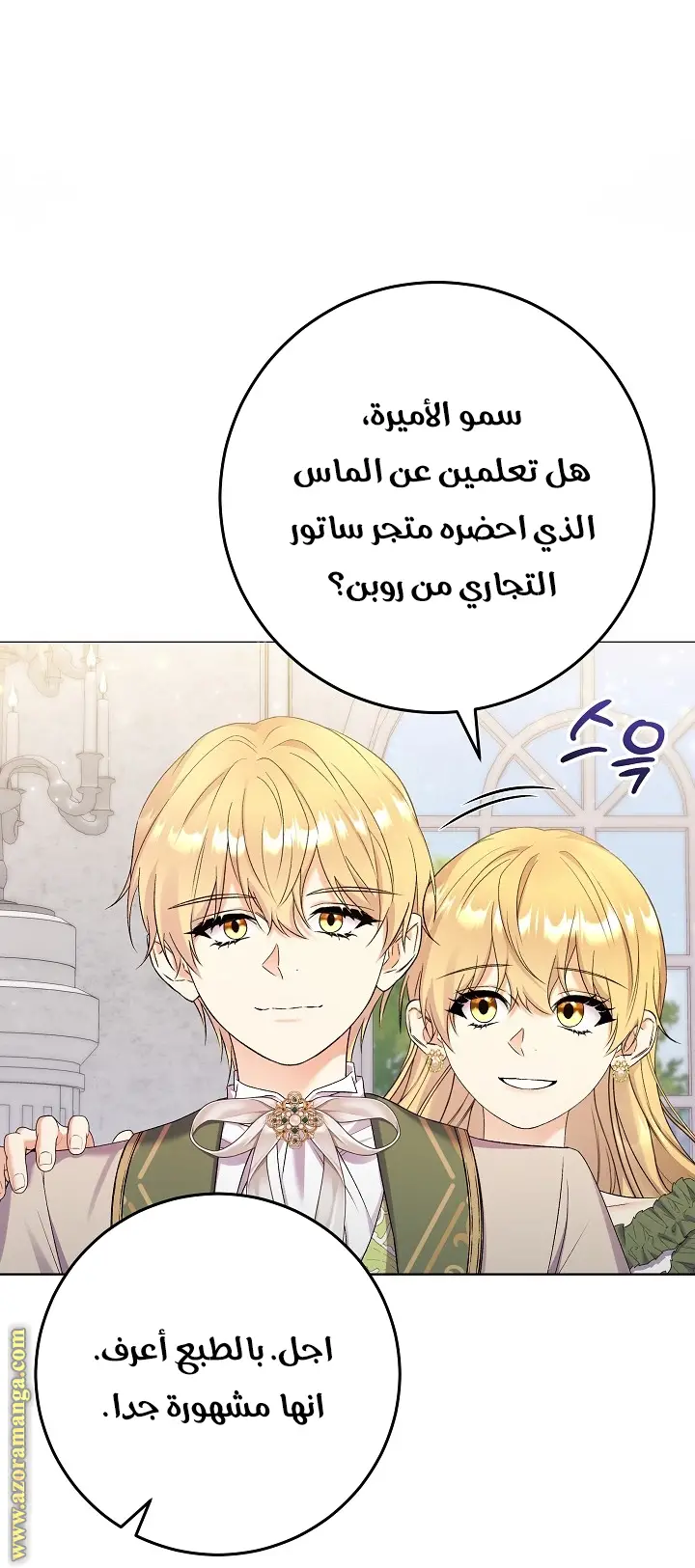 الصفحة 28