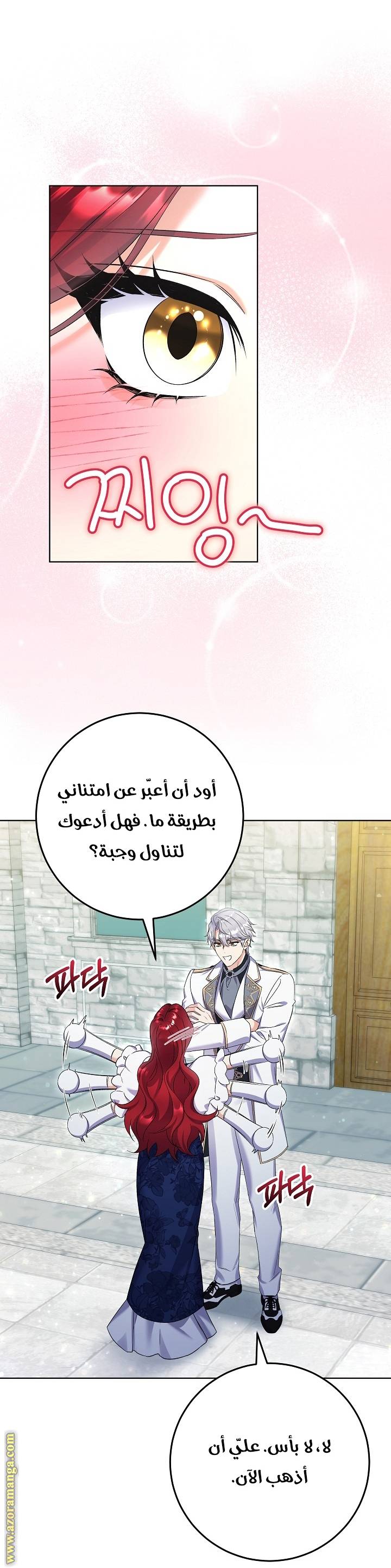 الصفحة 27
