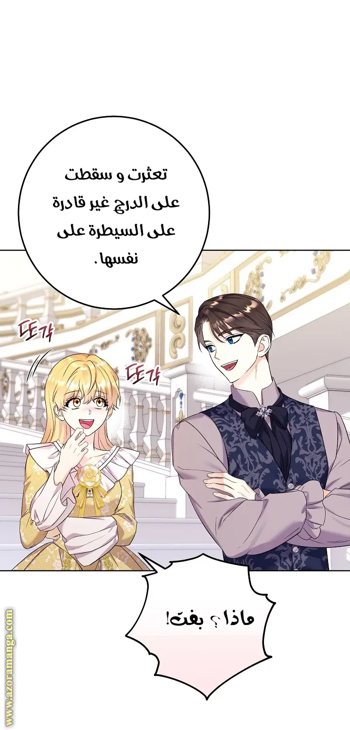 الصفحة 27