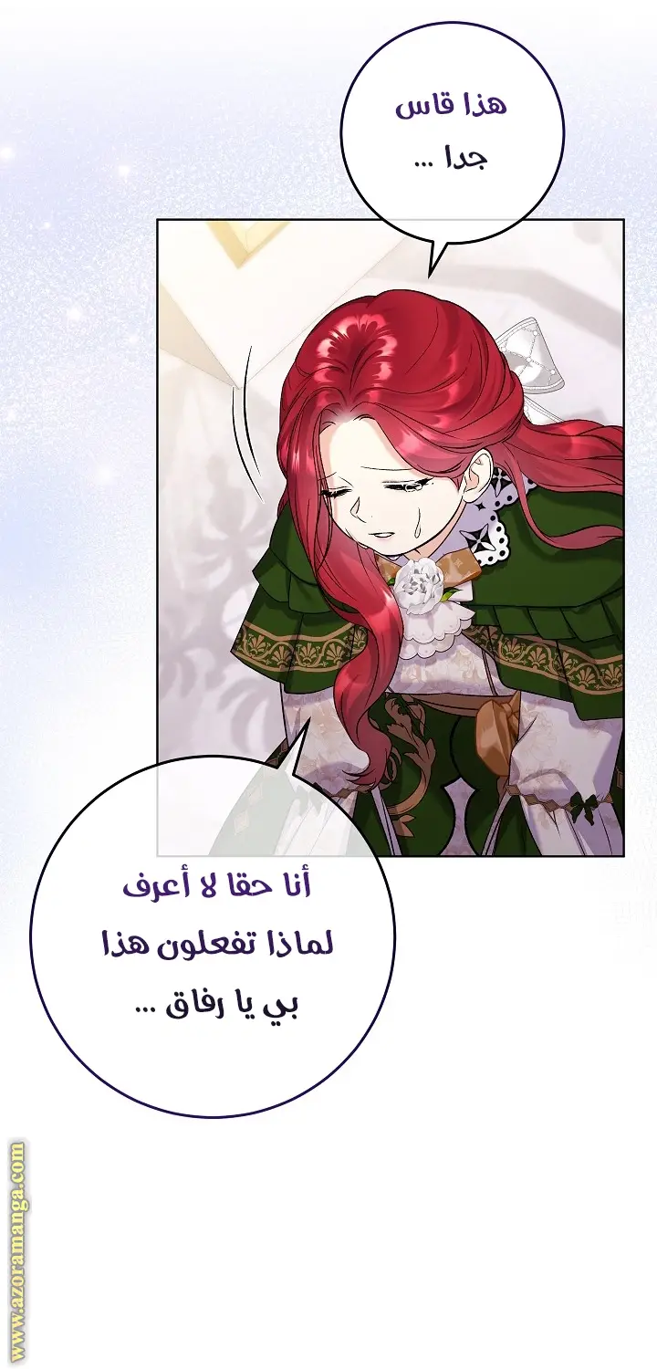 الصفحة 43
