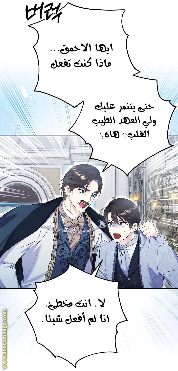 الصفحة 17