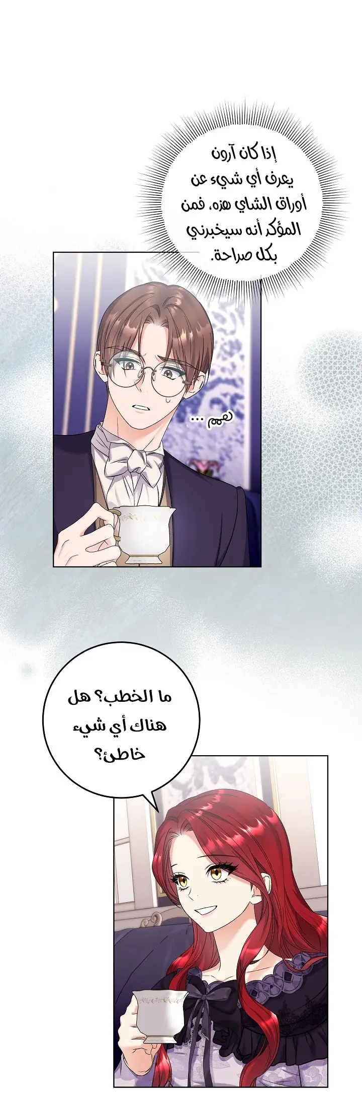 الصفحة 25