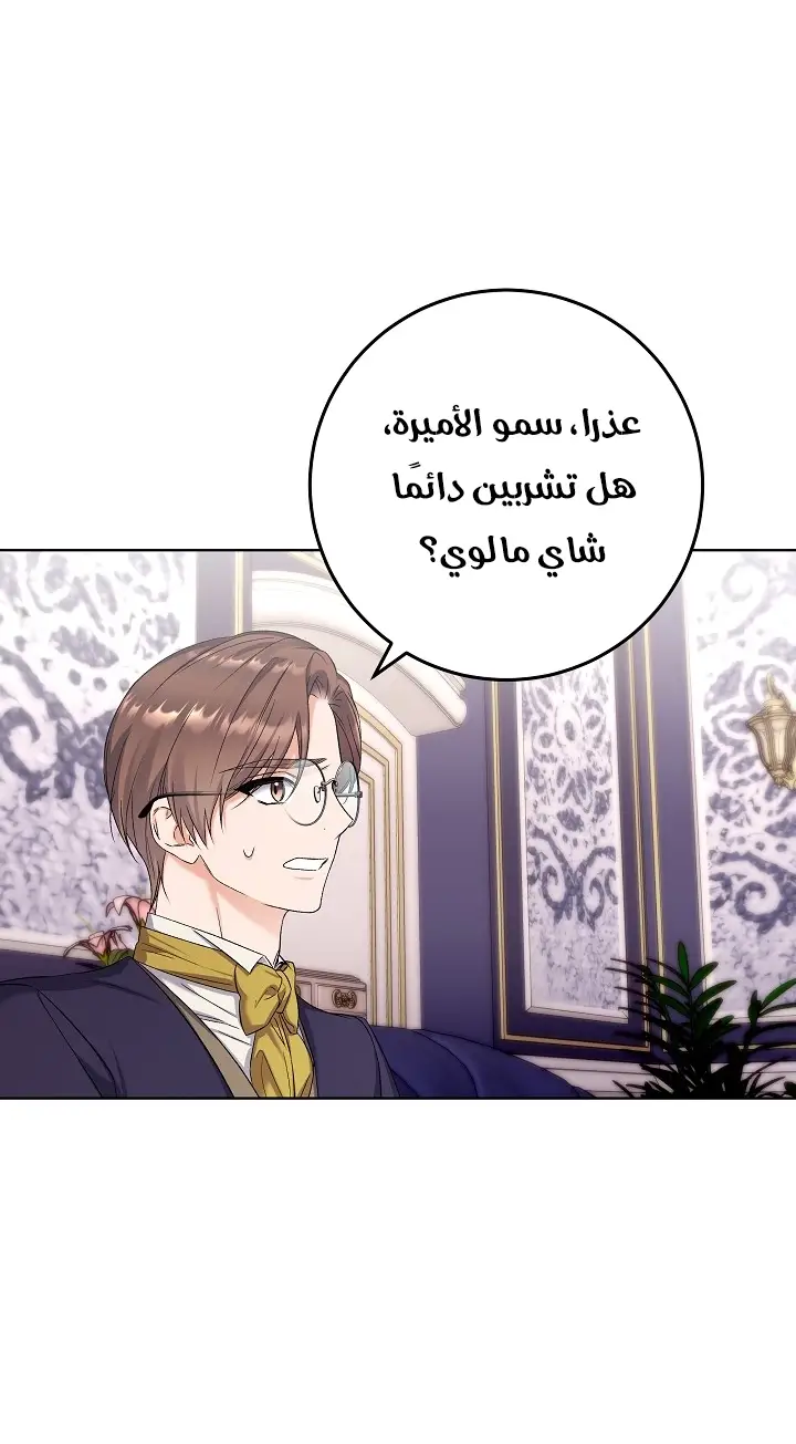الصفحة 26