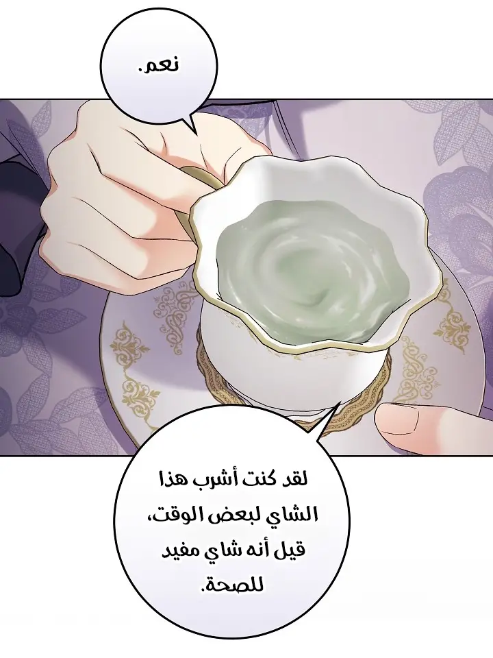 الصفحة 27