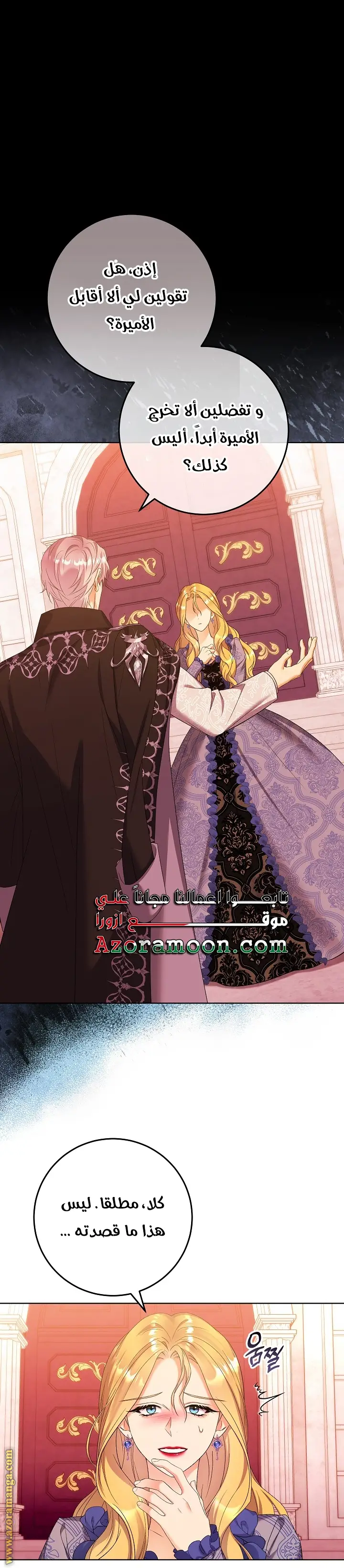 الصفحة 25