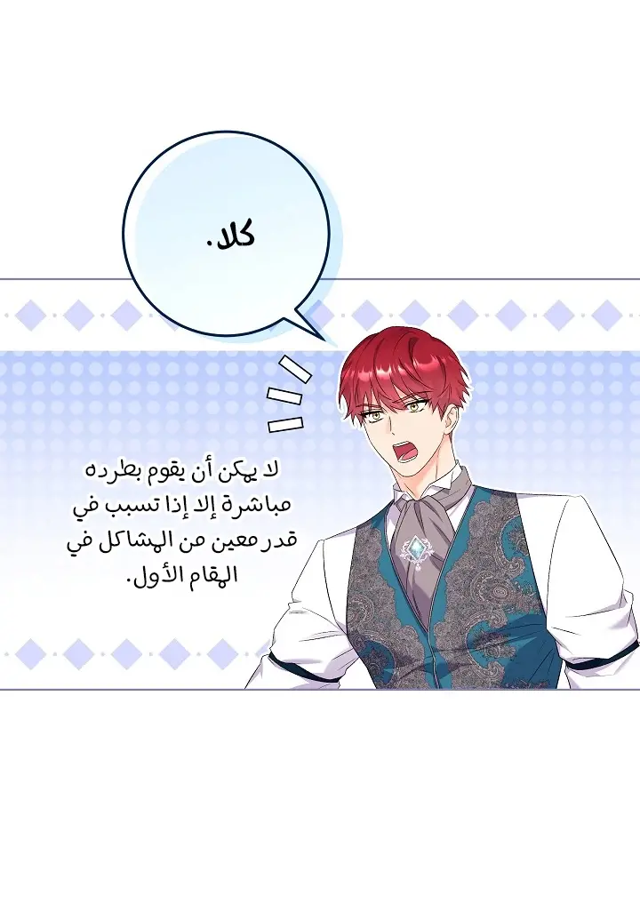 الصفحة 20