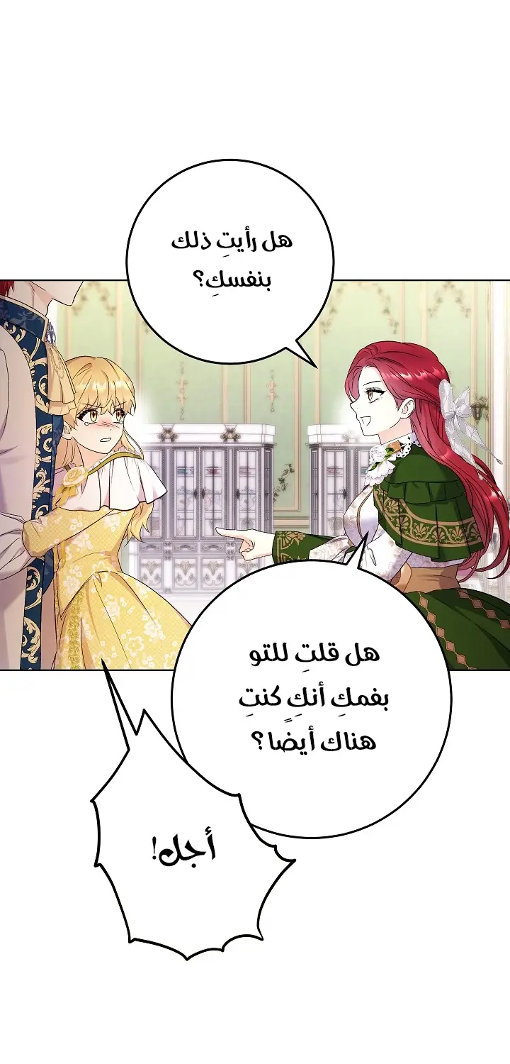 الصفحة 29