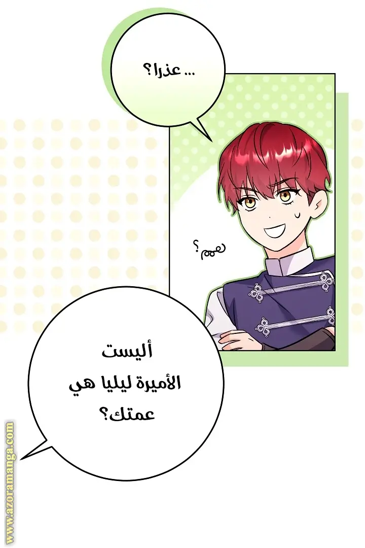 الصفحة 24