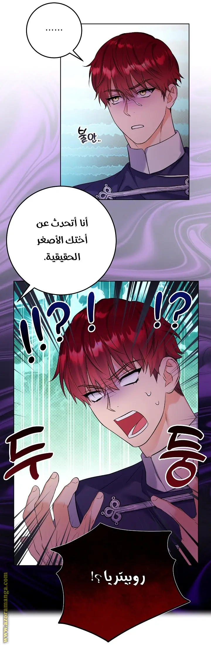 الصفحة 25