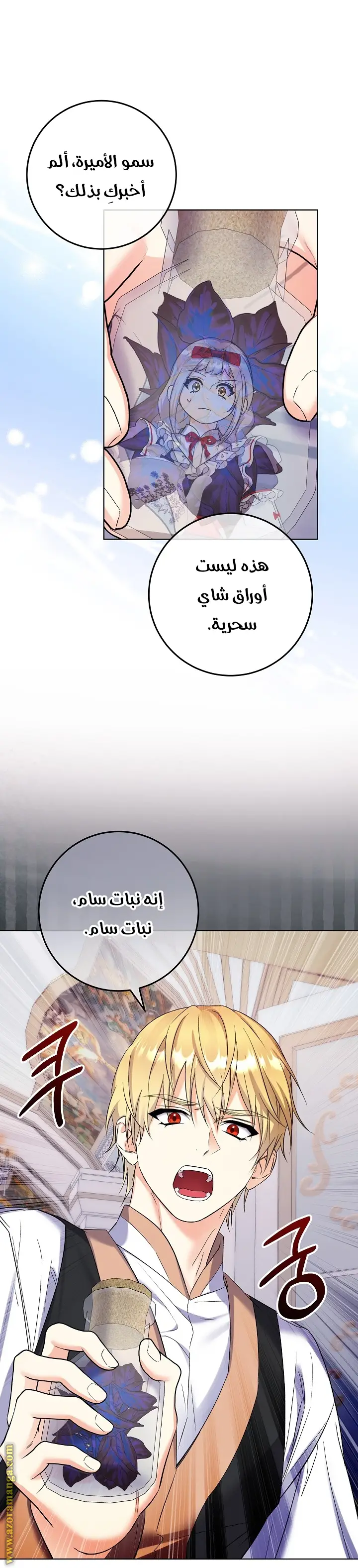 الصفحة 16