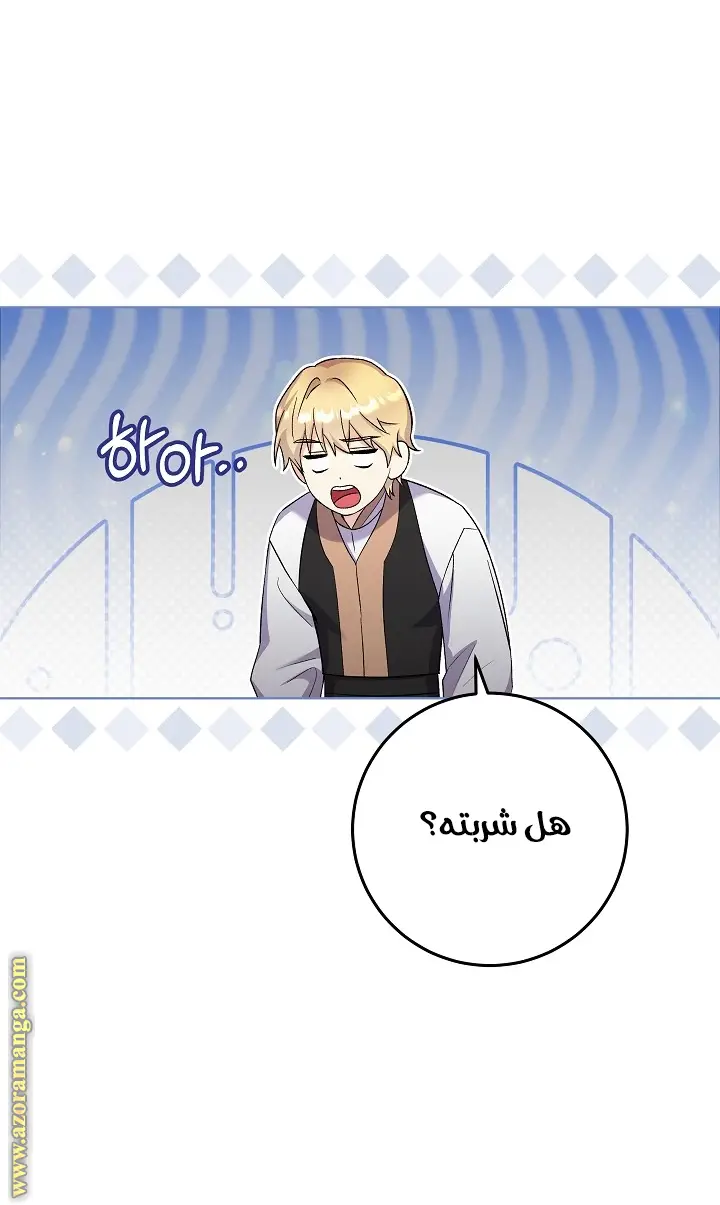 الصفحة 19